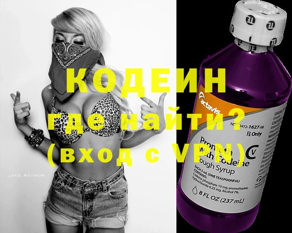 индика Протвино