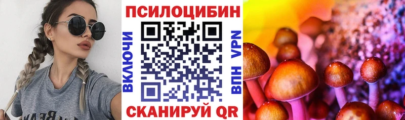как найти наркотики  Лодейное Поле  Псилоцибиновые грибы мицелий 
